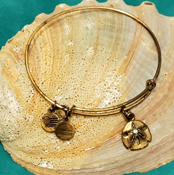 Alex & Ani sand dollar charm bangle, Rafaelian gold - Picture 5 of 5
